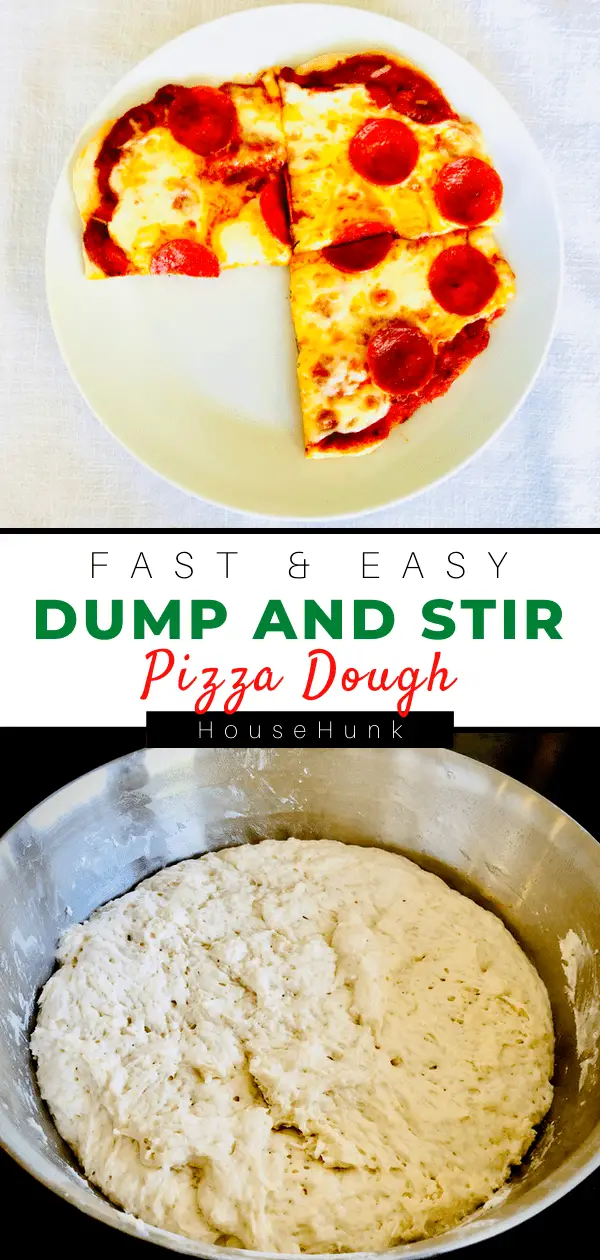 Dump & Stir Pizza Dough Recipe Pinterest Pin
