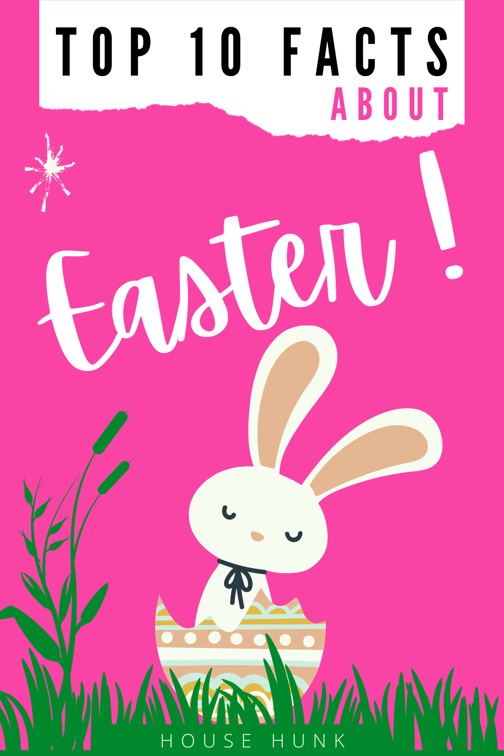 A poster with a pink background and white text that says Top 10 facts about Easter, with an illustration of a bunny in a basket.