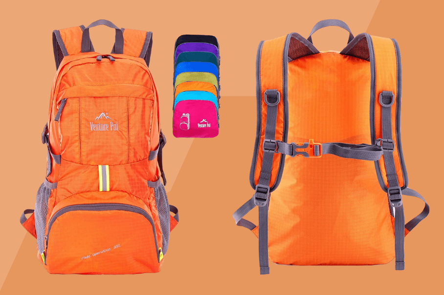 Venture Pal Kids Backpack