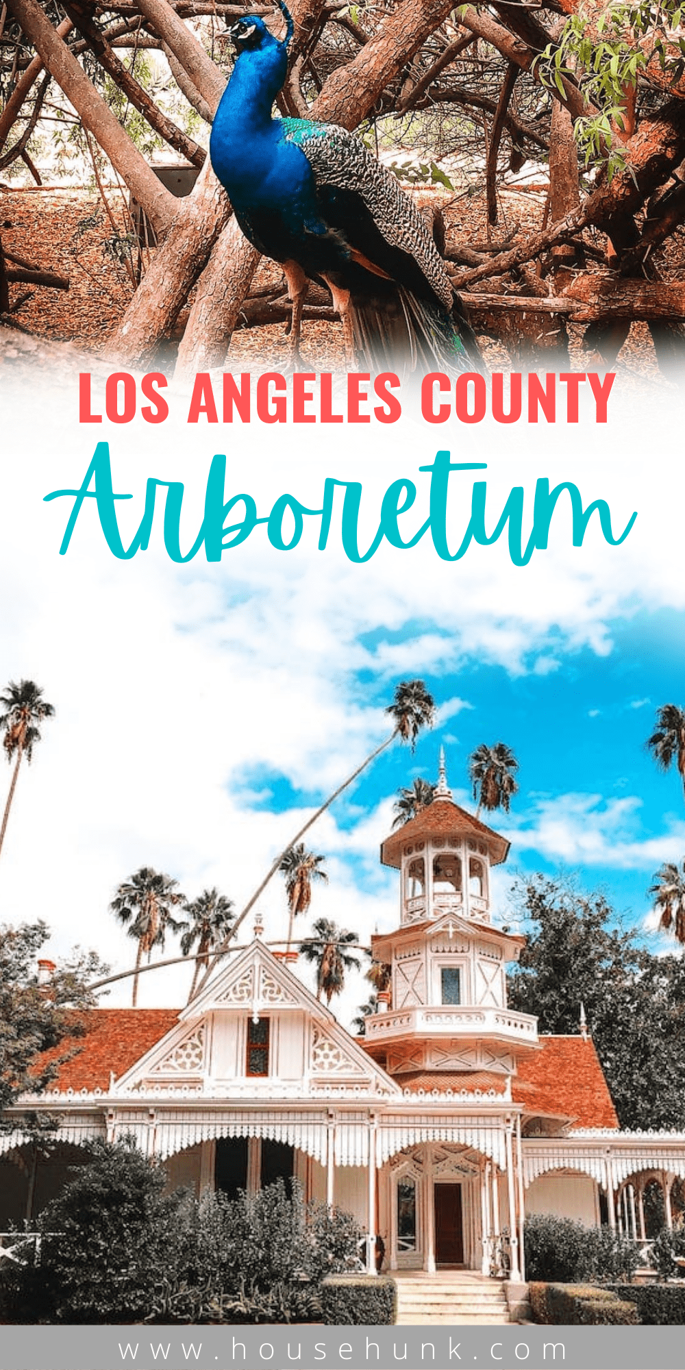 Los Angeles County Arboretum Pinterest Pin