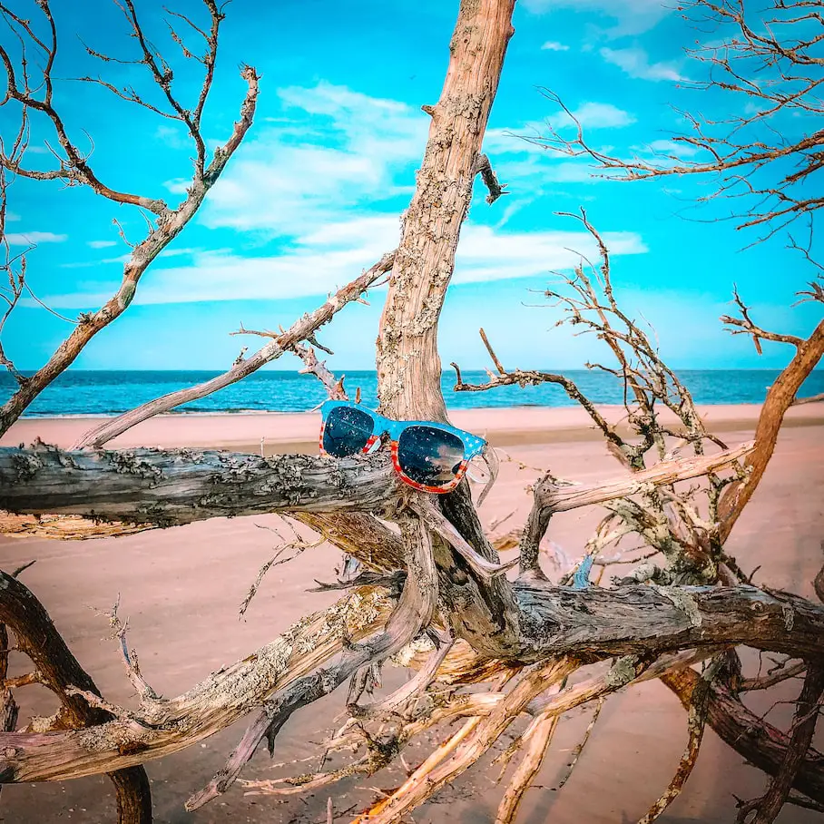 A pair of sunglasses resting on a tree branch on a beach. The sunglasses are round and have a red and blue frame with dark lenses. The tree branch is twisted and gnarled, with no leaves. The background is a sandy beach with the ocean in the distance. The sky is blue and there are a few clouds in the sky. The image has a filter applied to it, giving it a dreamy, surreal quality.