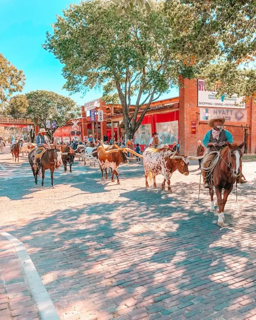 fort-worth-stockyards-things-to-do