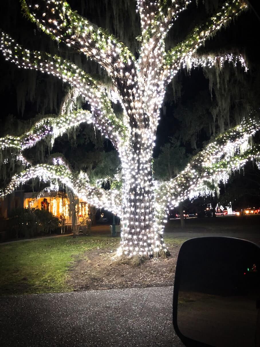 Out In The Wild Jekyll Island During Winter HOUSE HUNK