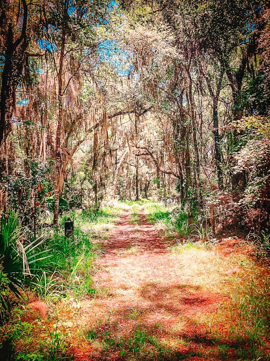 jekyll-island-hiking