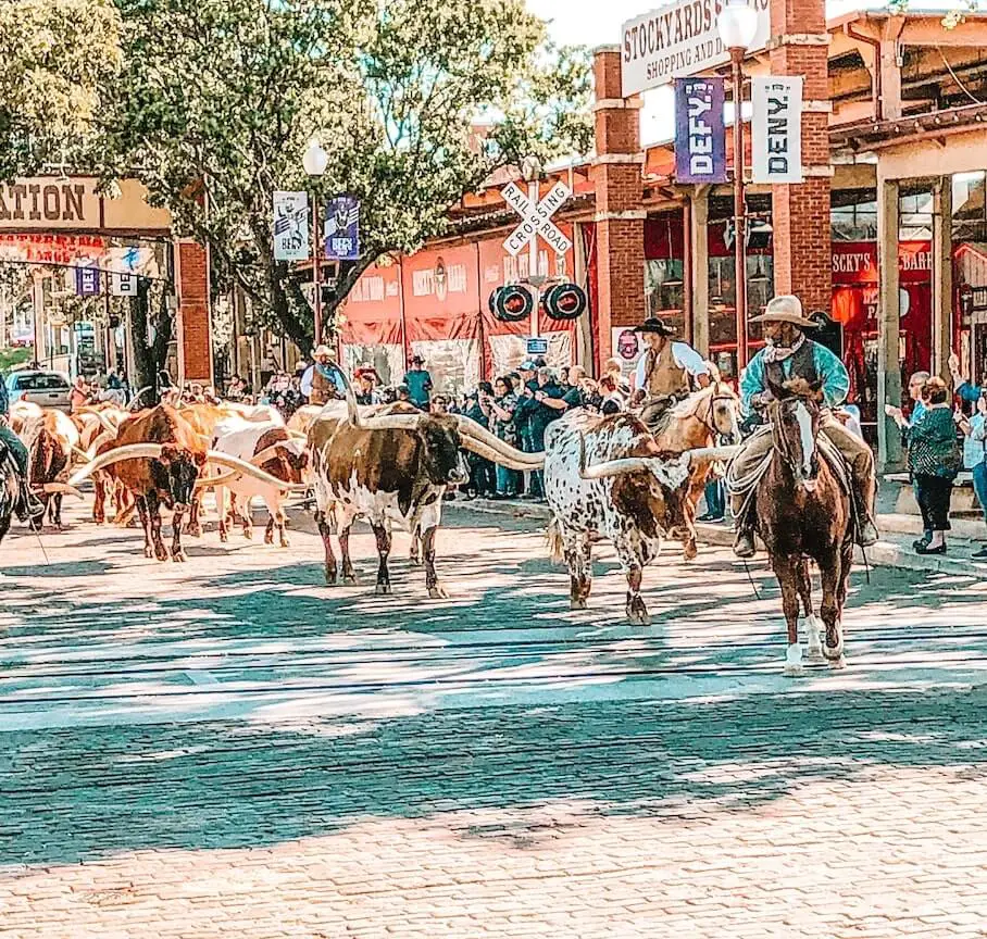 things-to-do-in-fort-worth-stockyards