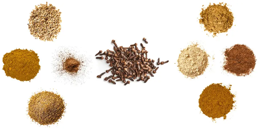 A photorealistic image of ingredients for Homemade Lebkuchen Spice Mix consisting of four piles of different spices and herbs on a white background.