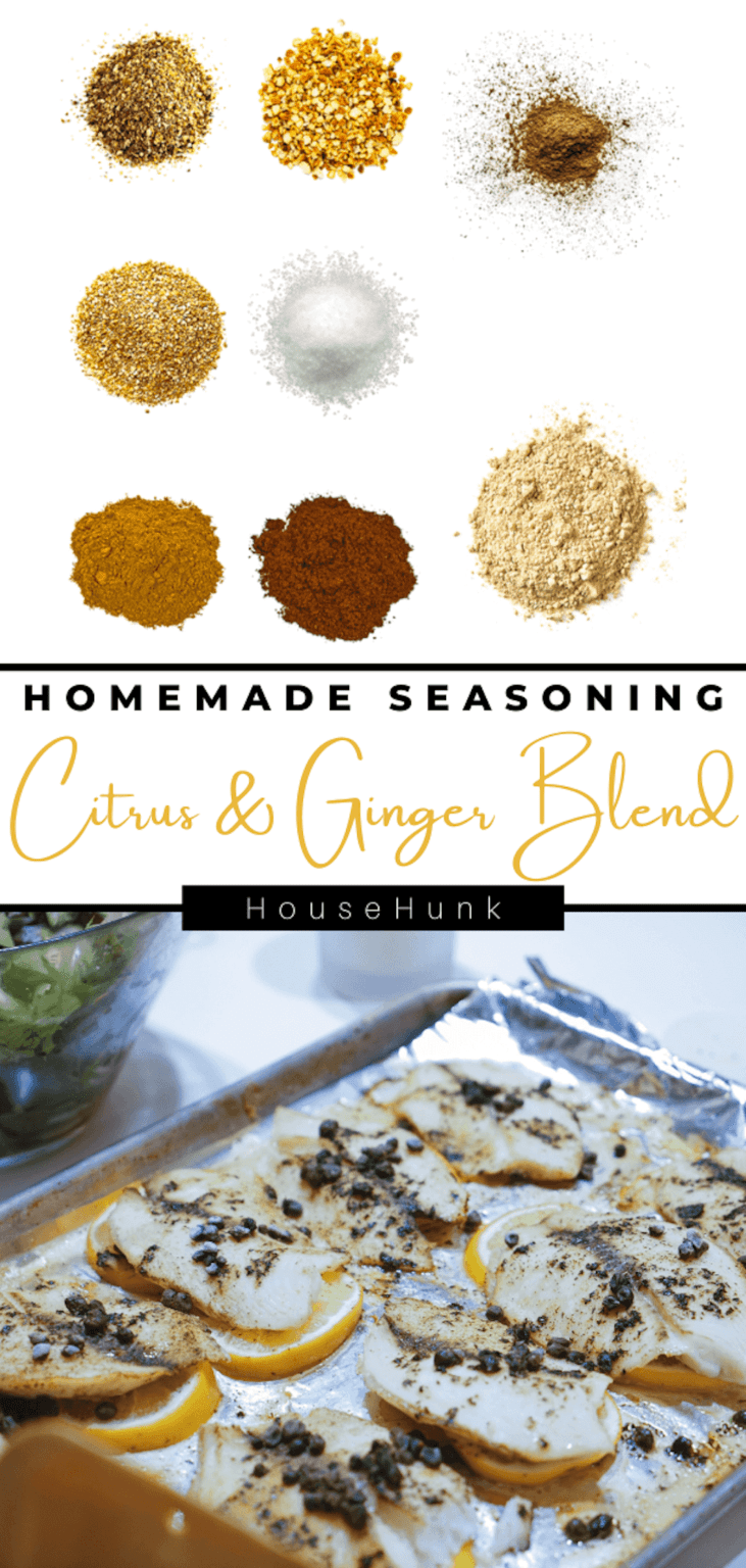 Homemade Citrus Ginger Spice Blend House Hunk homemade-citrus-ginger-spice-blend-house-hunk