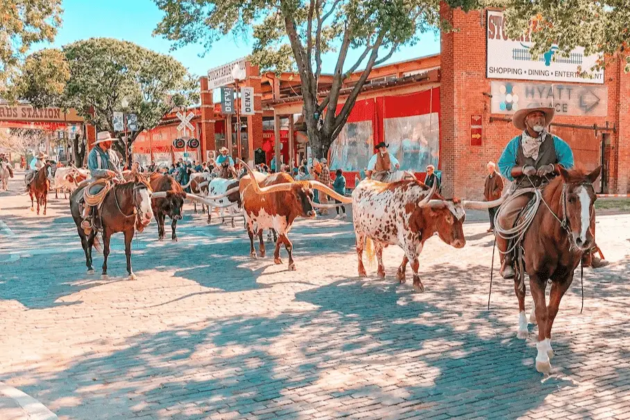 A photo realistic image of a cowboy herding longhorn cattle down a brick street with brick buildings and signs in the background.