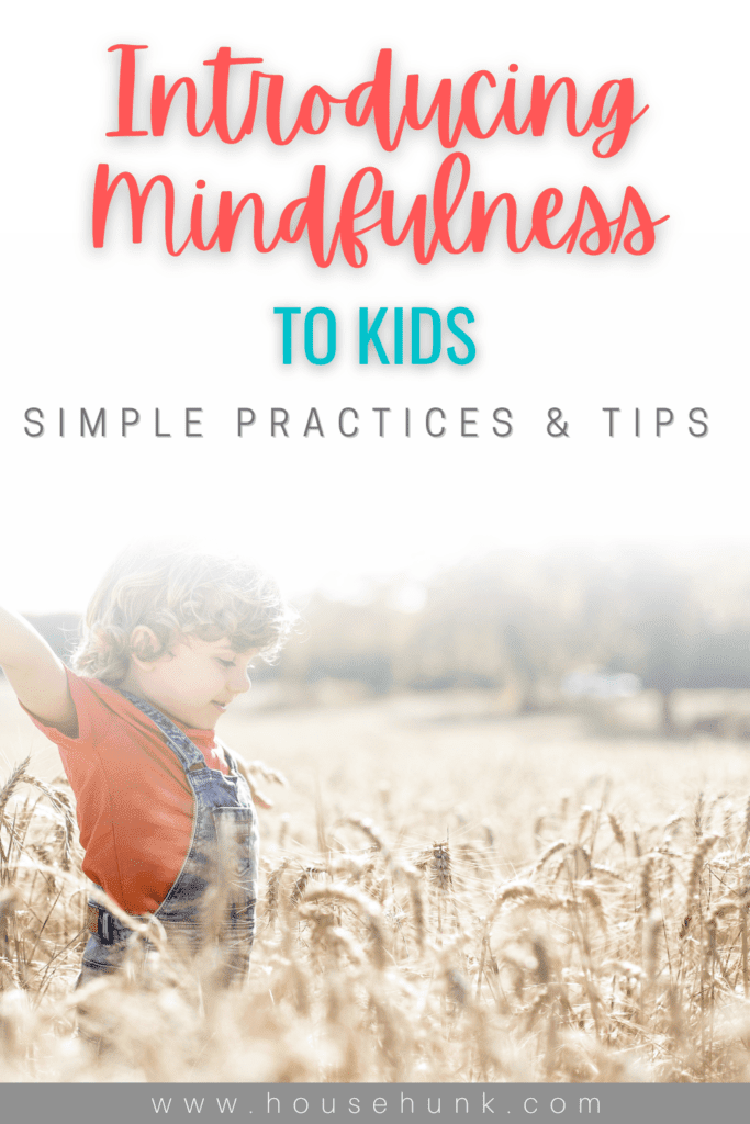 A text overlay on a field of wheat with a child in a red shirt and blue overalls. The text reads “Introducing Mindfulness to Kids: Simple Practices & Tips”. The website “www.househunk.com” is written at the bottom.