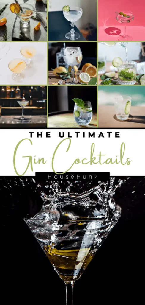 The Best Gin Cocktails