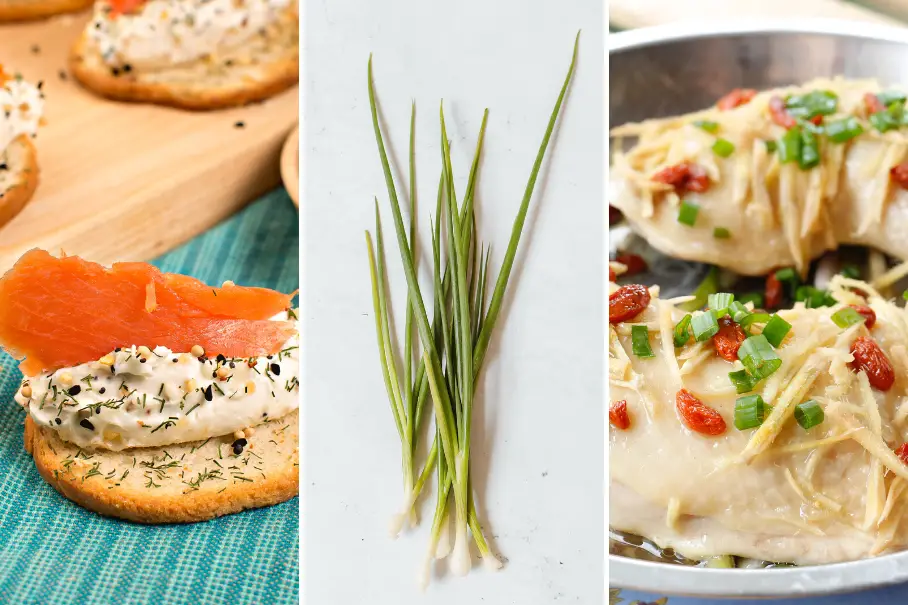 A triptych image of three different dishes. The first image on the left is a close up of a bagel with cream cheese and smoked salmon on top. The bagel is on a blue plate and there are sesame seeds and dill scattered on top. The middle image is a close up of a bunch of green onions on a white plate. The third image on the right is a close up of a dish with cabbage, red peppers, and green onions on top. The dish is on a blue plate and there is a fork on the side.