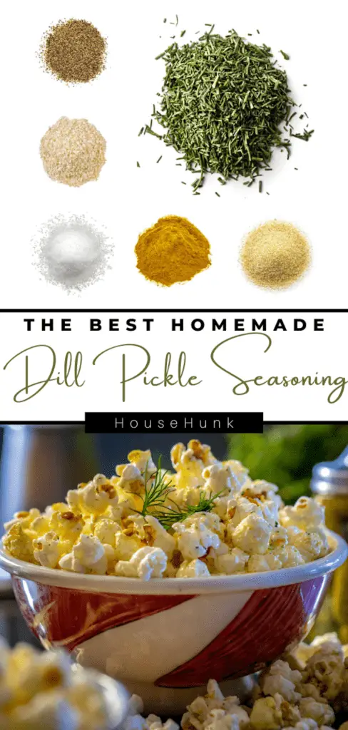 The Best Homemade Dill Pickle Seasoning