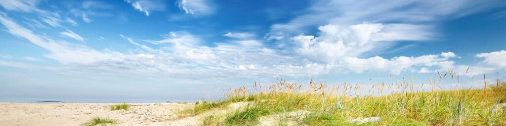 a grassy sand dune with blue sky and clouds